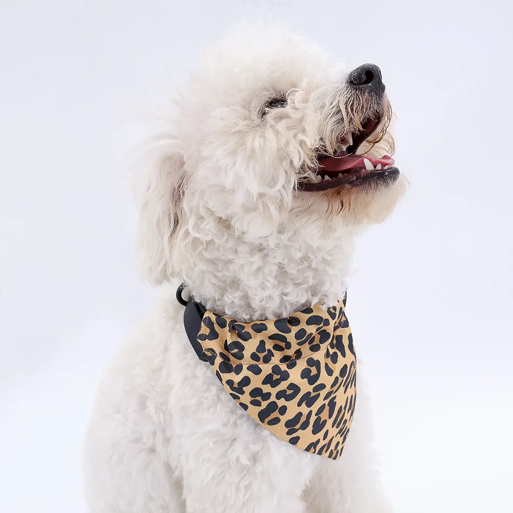 Vivid Triangle Pet Bandana 05
